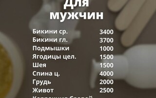 Katrin Studio