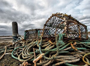 Двое сахалинцев незаконно выловили крабов на 1,2 млн рублей