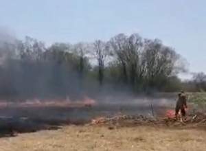 Пожарили шашлычков: отдыхающие на Сахалине спасали автомобили из-за пожара на поляне с сухой травой