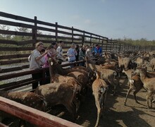  «Содружество» — проводник в мир приключений