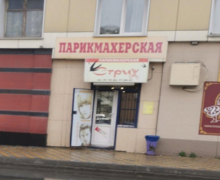 Стриж